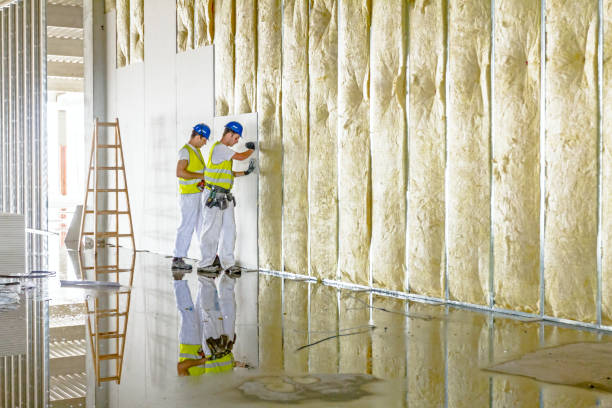 Best Insulation Installation Services in Park Layne, OH